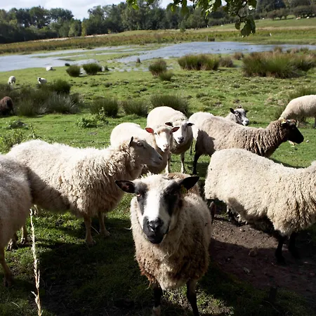 Gasthof Norsminde Odder