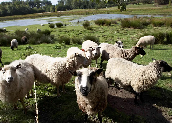 Πανδοχείο Norsminde Odder